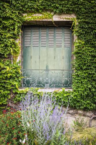 A la fenêtre, Giverny, 2021