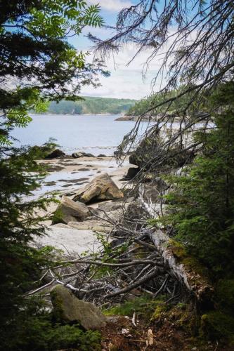 Ouverture, Saguenay, 2022