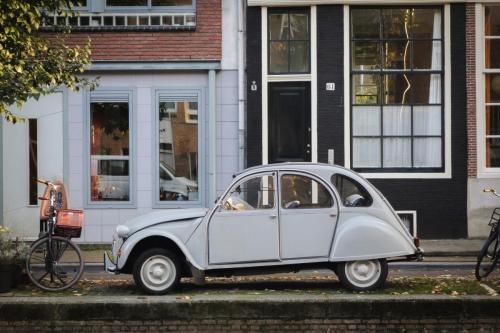Caméléon, Amsterdam, 2018